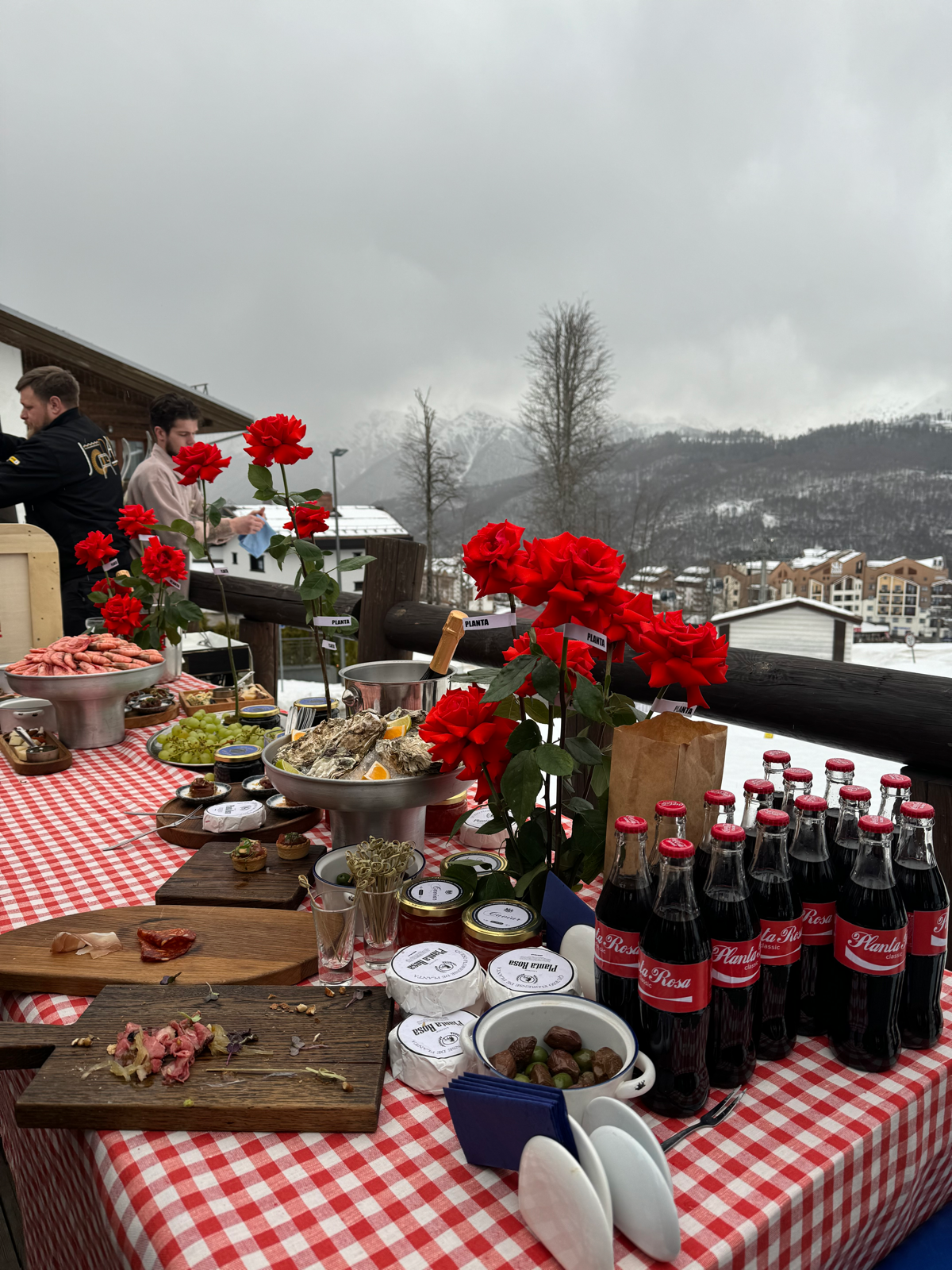 Planta Rosa & New Star Camp | Сетка — социальная сеть от hh.ru