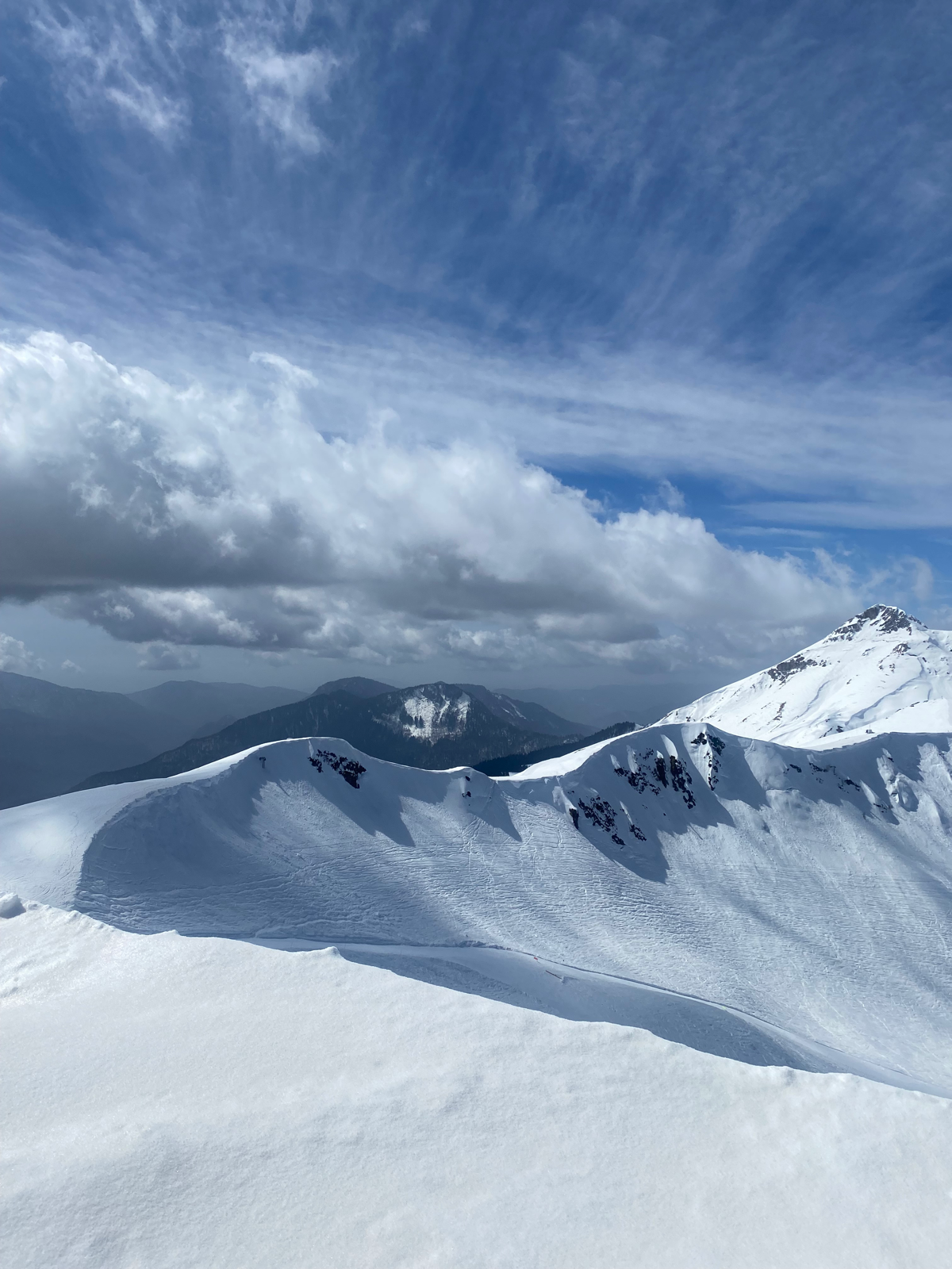 Узнала о Сетке на New Star Camp, а вы откуда? | Сетка — социальная сеть от hh.ru