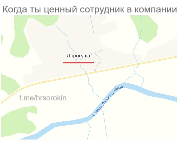 Сетка — социальная сеть от hh.ru