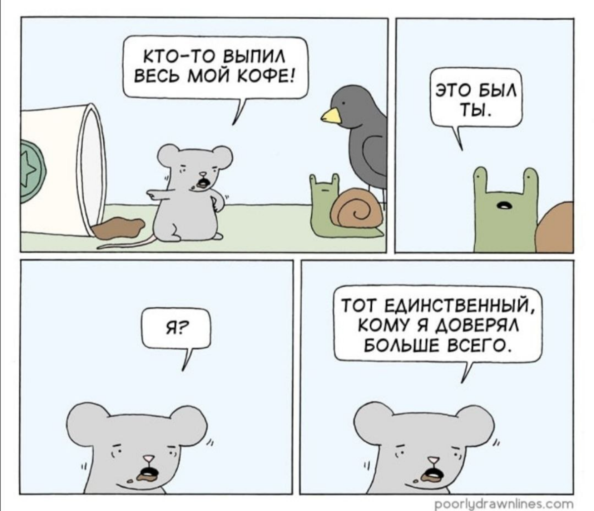 Сетка — социальная сеть от hh.ru