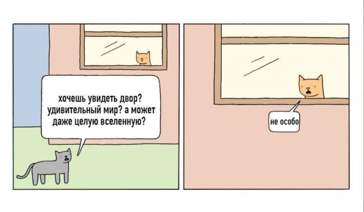 Сетка — социальная сеть от hh.ru