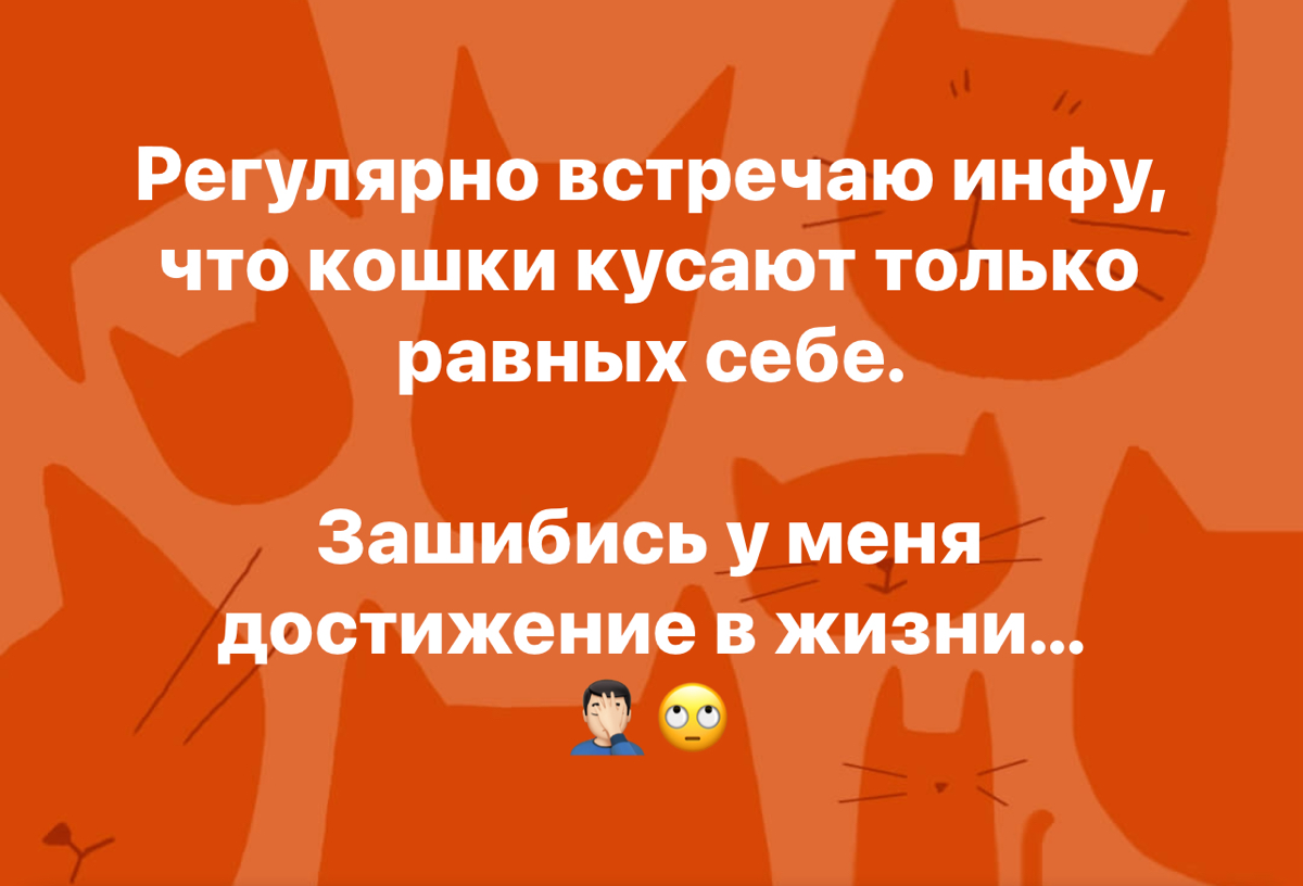 А чего добился ты? 🤔 | Сетка — социальная сеть от hh.ru