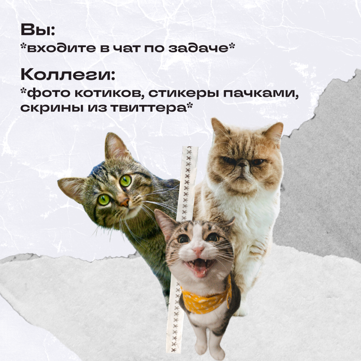 Собрали ситуации, которые случаются на запуске проекта. 
Про что вы уверенно скажете: «Да, было»? Пишите в комментариях! | Сетка — социальная сеть от hh.ru