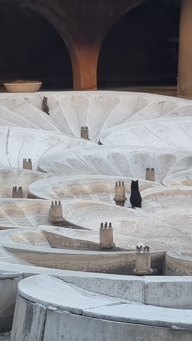 🚀👨‍🚀🛰 12 апреля поезд уедет ракета улетит
Прямо сейчас пора впрыгивать в поезд третьей Коалиции. Вход у нас по билетам, а билеты выдаю я как кондуктор в обмен на 20-30 мин интро звонка | Сетка — социальная сеть от hh.ru