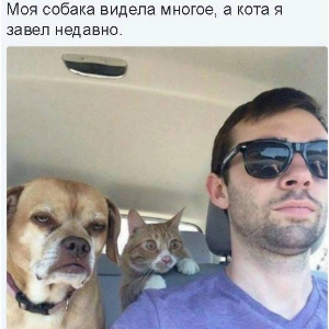 Марсель Вел