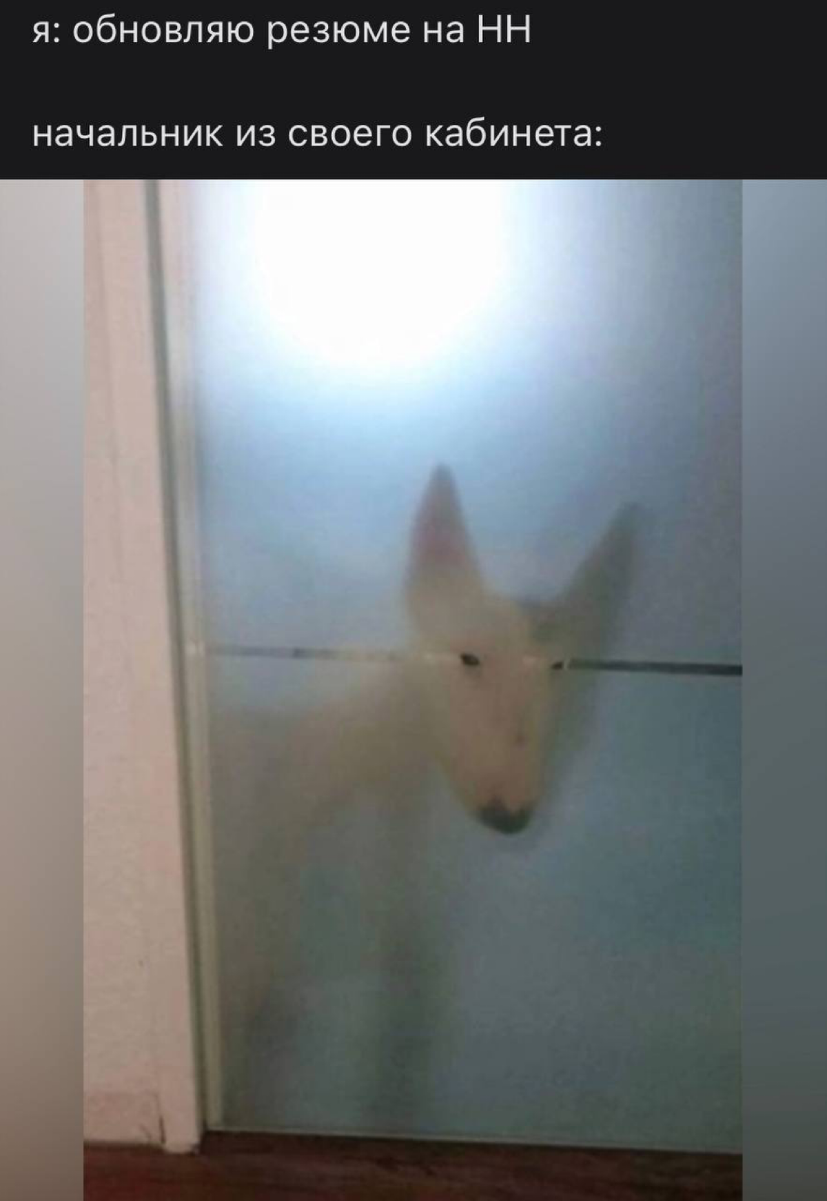 /Вопросы, помогающие сделать резюме в терминах результатов/ 
Одной из главных особенностей, отличающей хорошее резюме от плохого [читай: продающее его хозяина от теряющегося в массе кандидатов], являе... | Сетка — социальная сеть от hh.ru