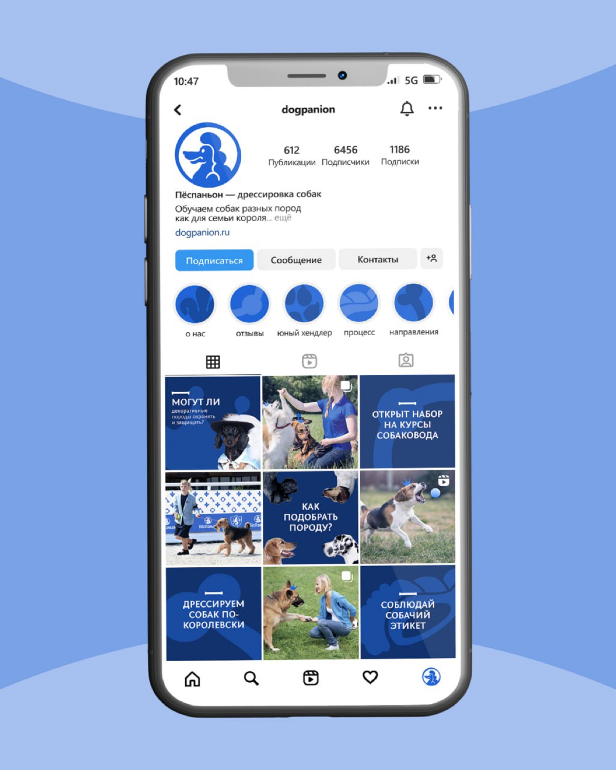 #ученики #21поток
Юлия Галкина на курсе Айдентика через Метафоры сделала концепт айдентики для школы кинологов. #метафора — мушкетёры | Сетка — социальная сеть от hh.ru