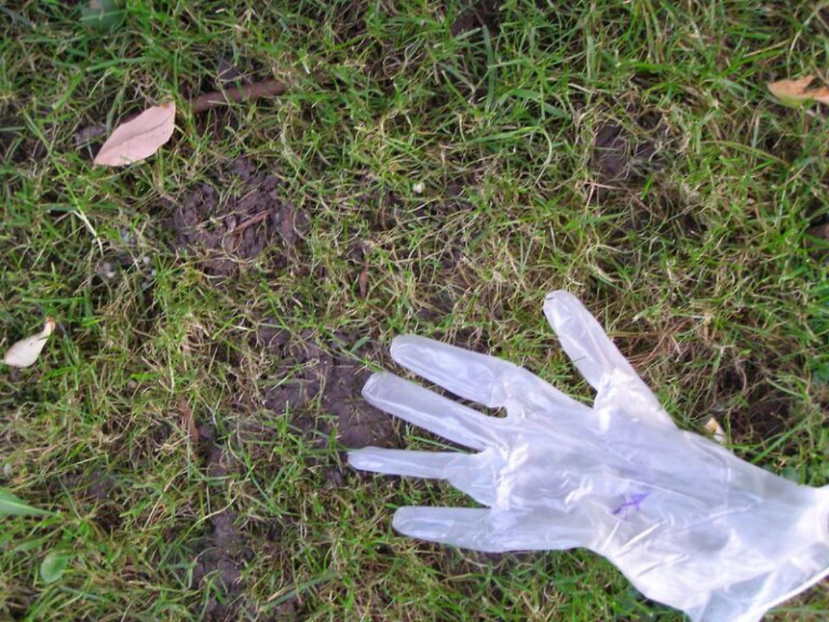 Война с микробиомом: как образ жизни делает нас аллергиками | Сетка — социальная сеть от hh.ru