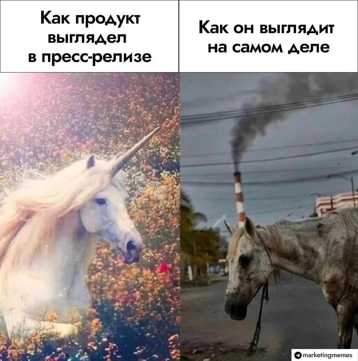 Сегодня поделюсь с вами мемом | Сетка — социальная сеть от hh.ru