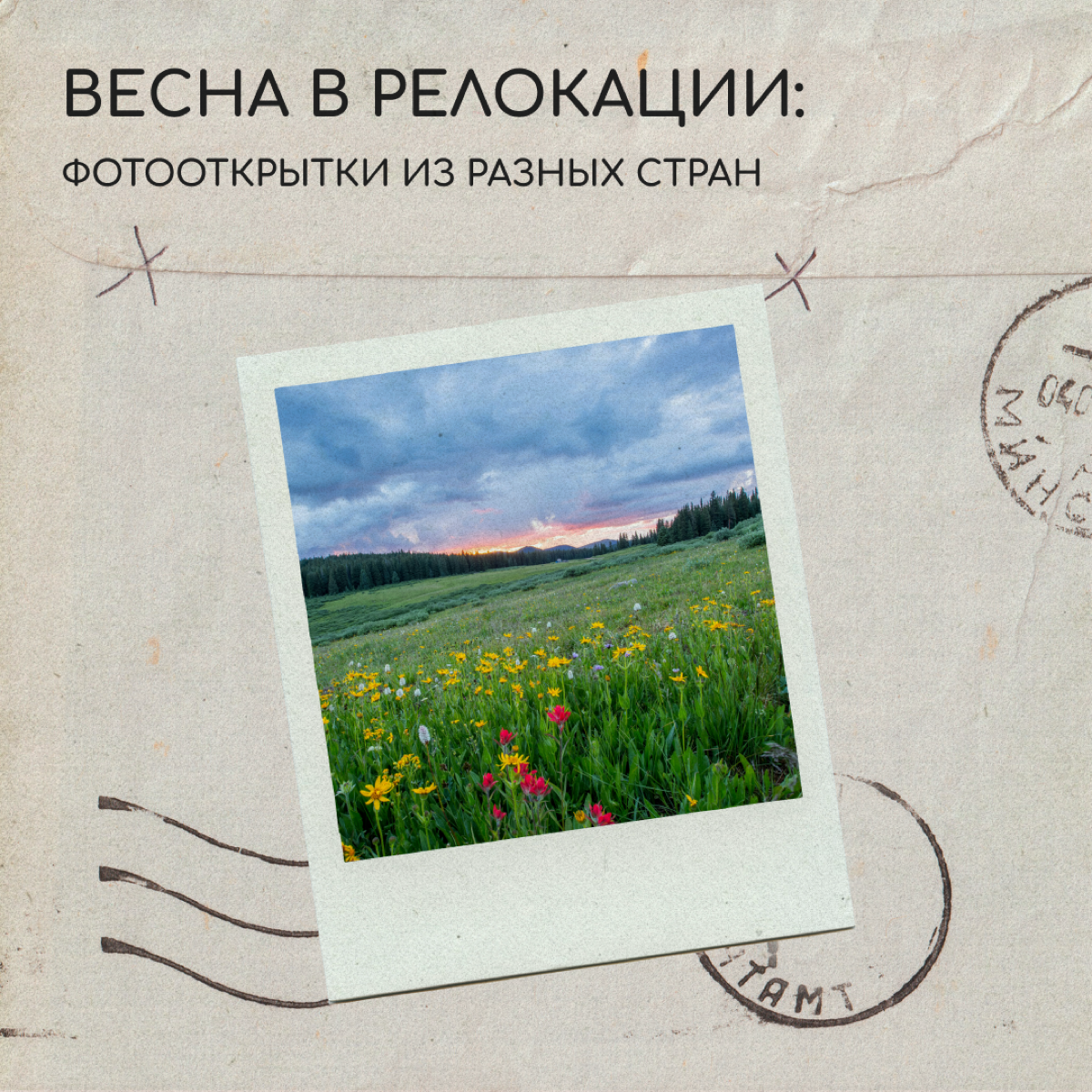 Весна в России наступает ни шатко ни валко: то солнце заставляет расстегнуть пальто, то снег заметает всё живое | Сетка — социальная сеть от hh.ru