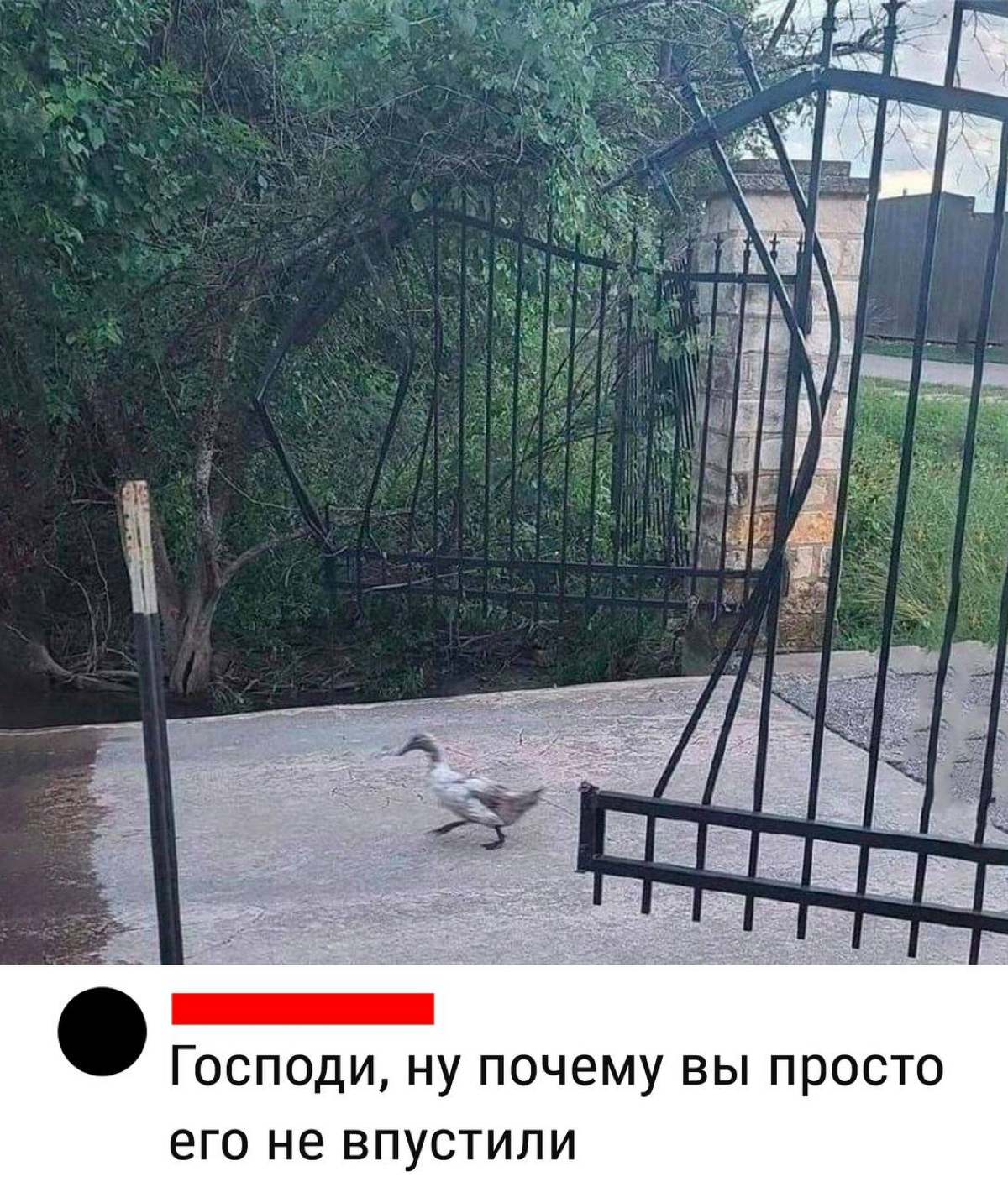 я начну, а вы продолжите | Сетка — социальная сеть от hh.ru