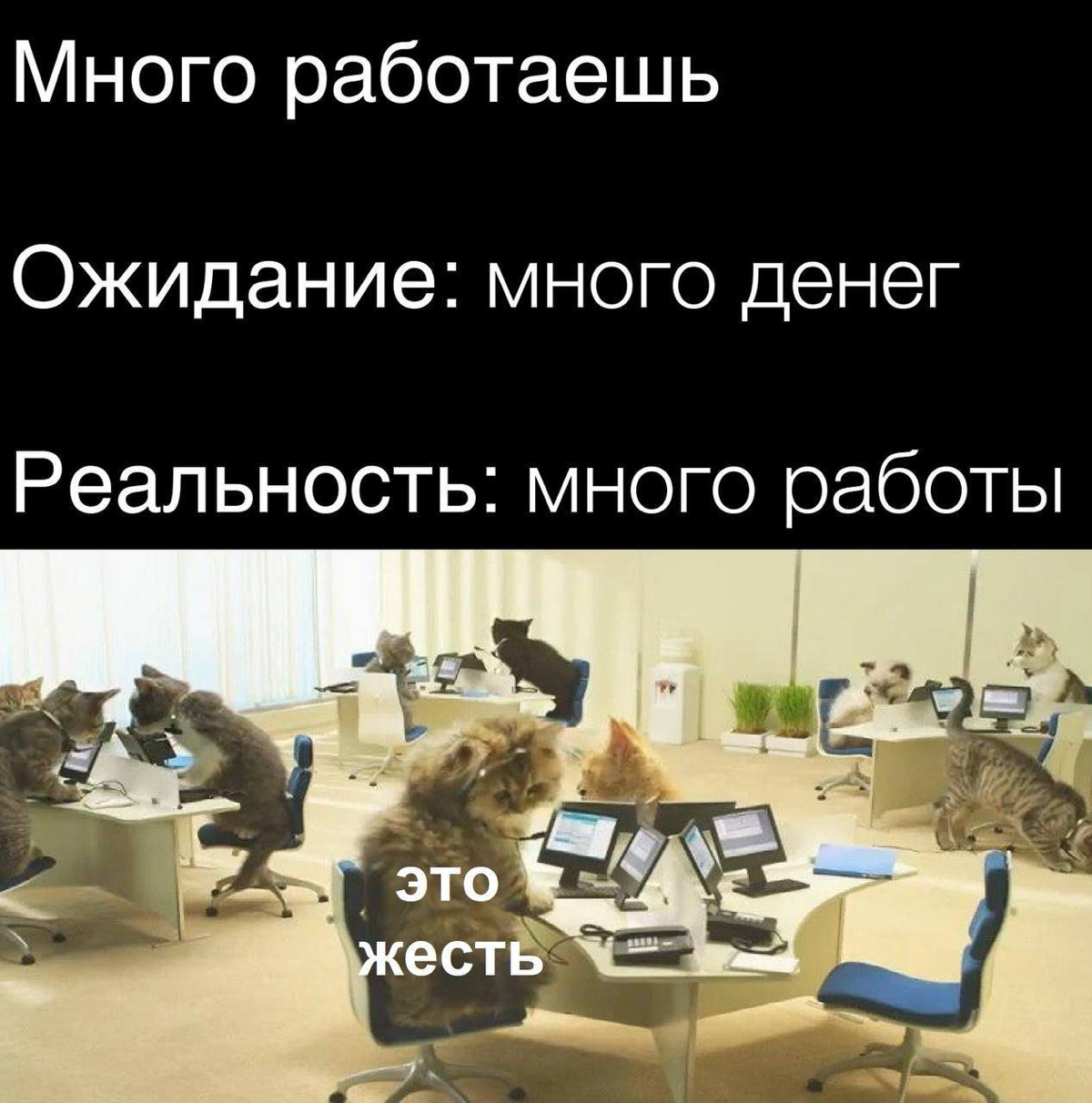 /Чеклист дел в первый месяц в новой компании/
Весна - время перемен, и хочется работу поменять, скажете вы. В новую компанию/команду/продукт надо уметь вливаться - отвечу вам я | Сетка — социальная сеть от hh.ru