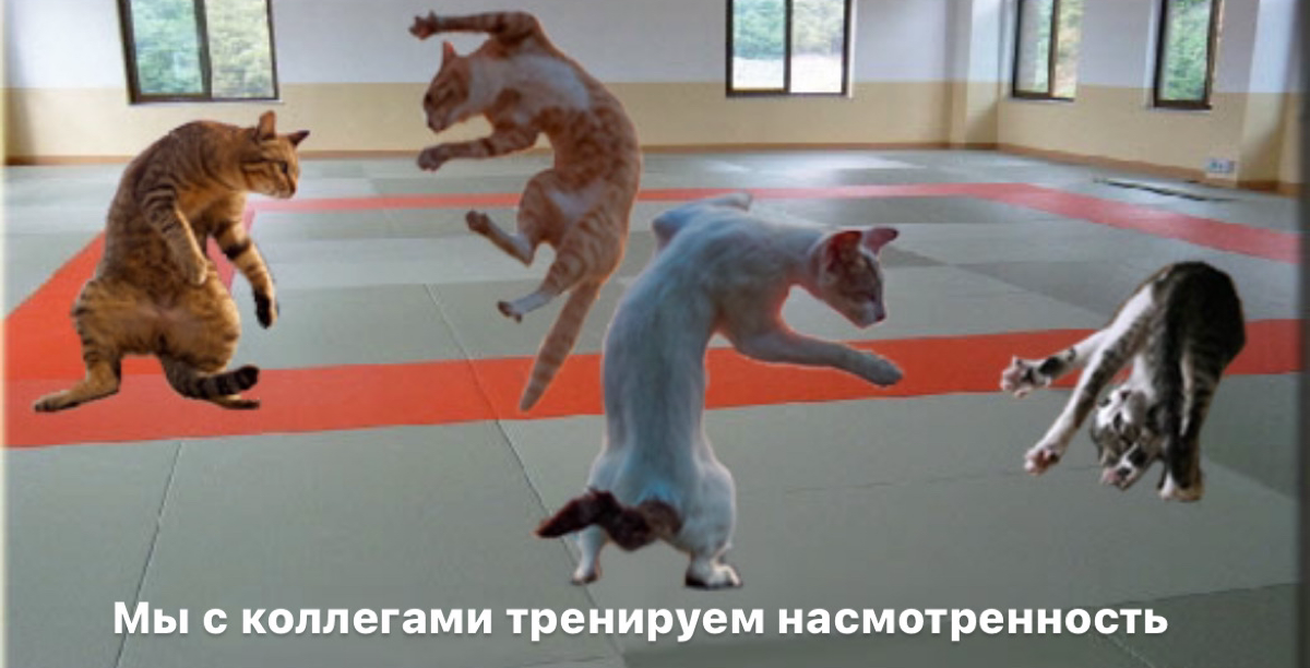 Я не верю в тренировки насмотренности | Сетка — социальная сеть от hh.ru