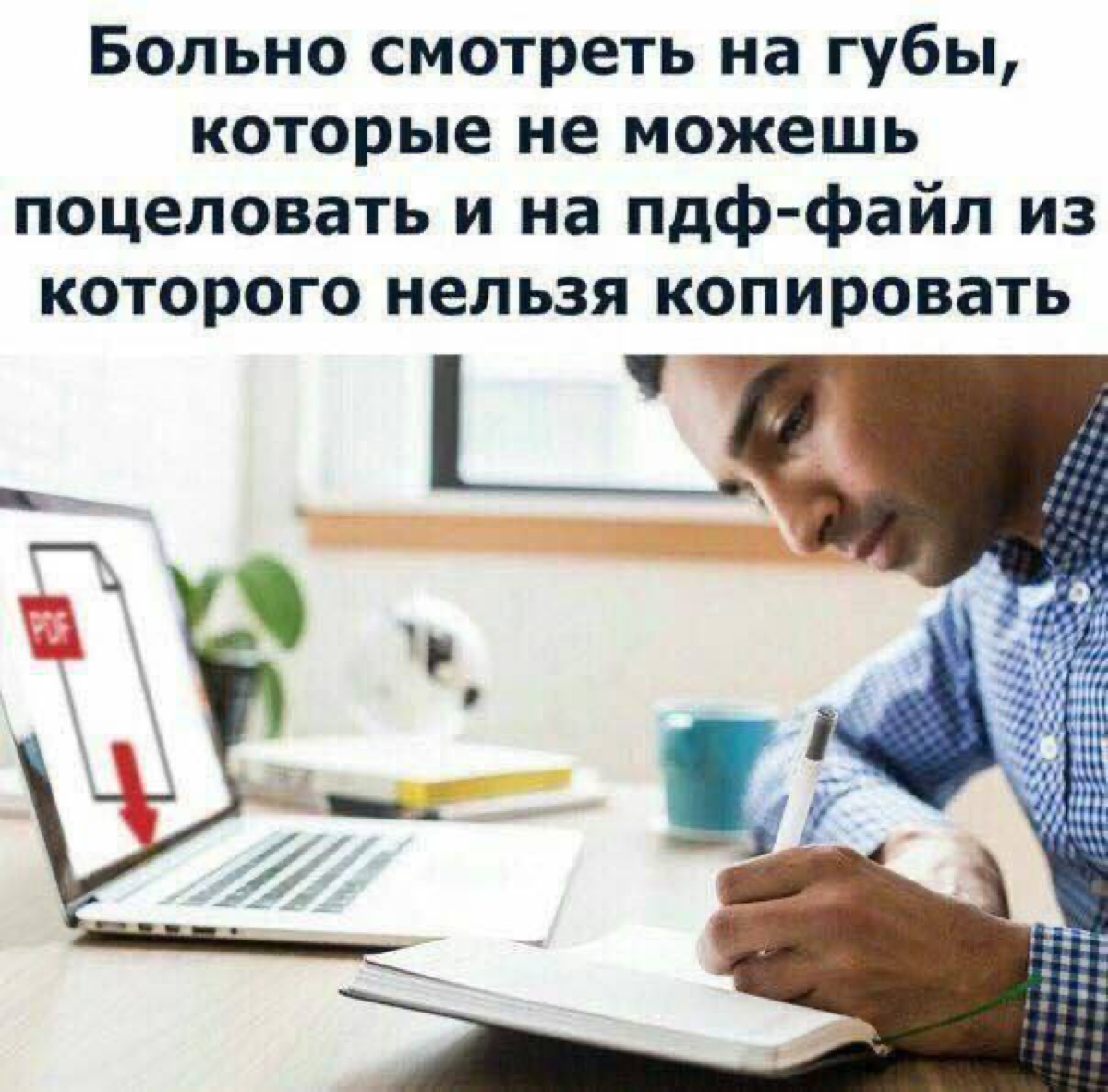 Сетка — социальная сеть от hh.ru