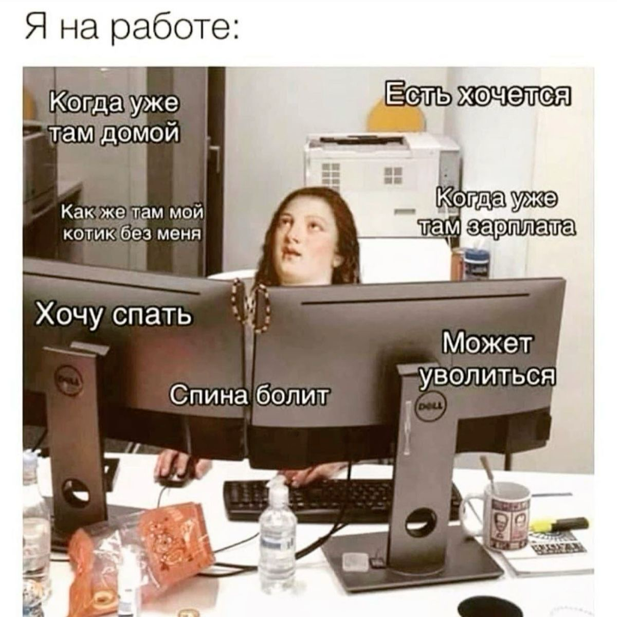 До зп еще неделя.
Спать можно только через дофига времени.
План уволиться и путешествовать еще актуален.
Котик грустит и ждёт вас. | Сетка — социальная сеть от hh.ru