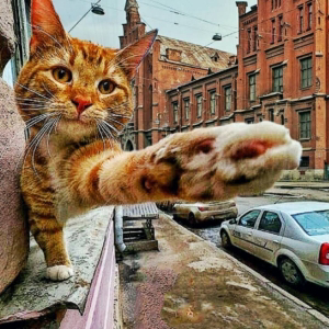 Андрей Кухтин