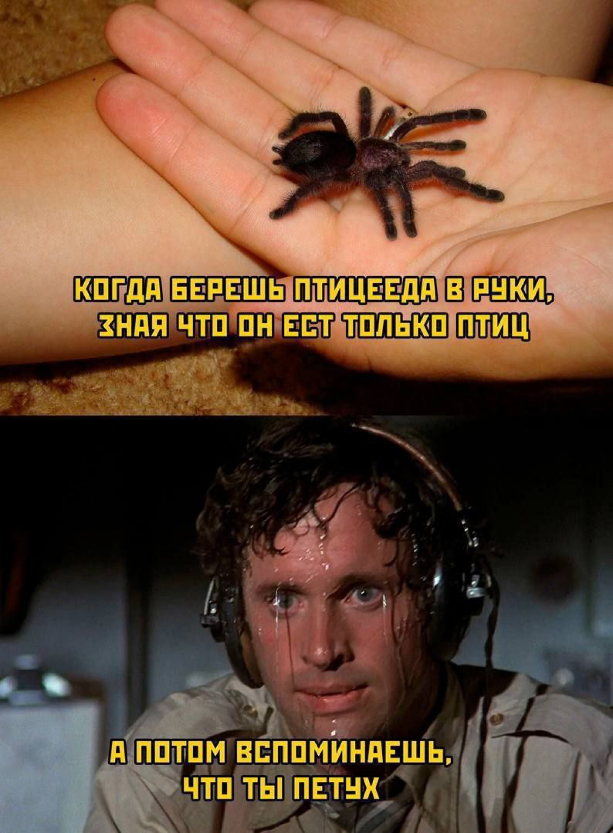 Сетка — социальная сеть от hh.ru