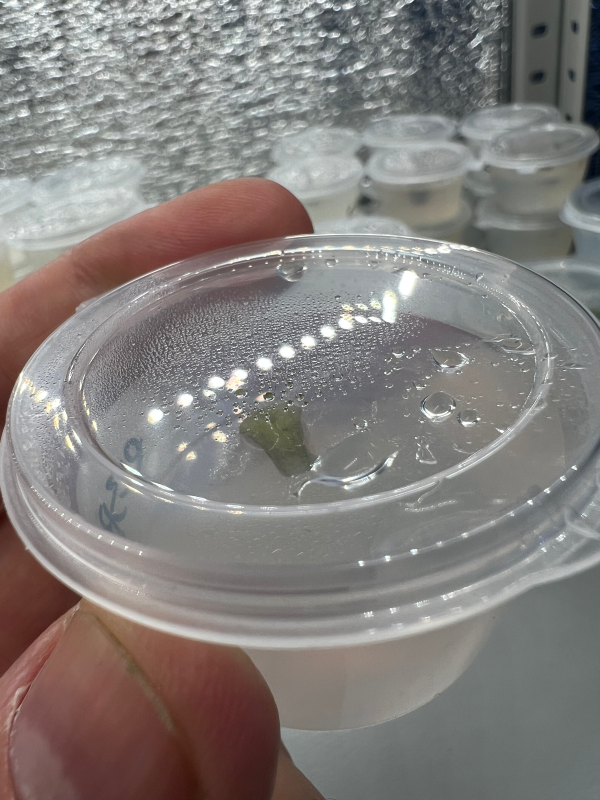 Микроклонирование. Эксперимент #3 | Сетка — социальная сеть от hh.ru