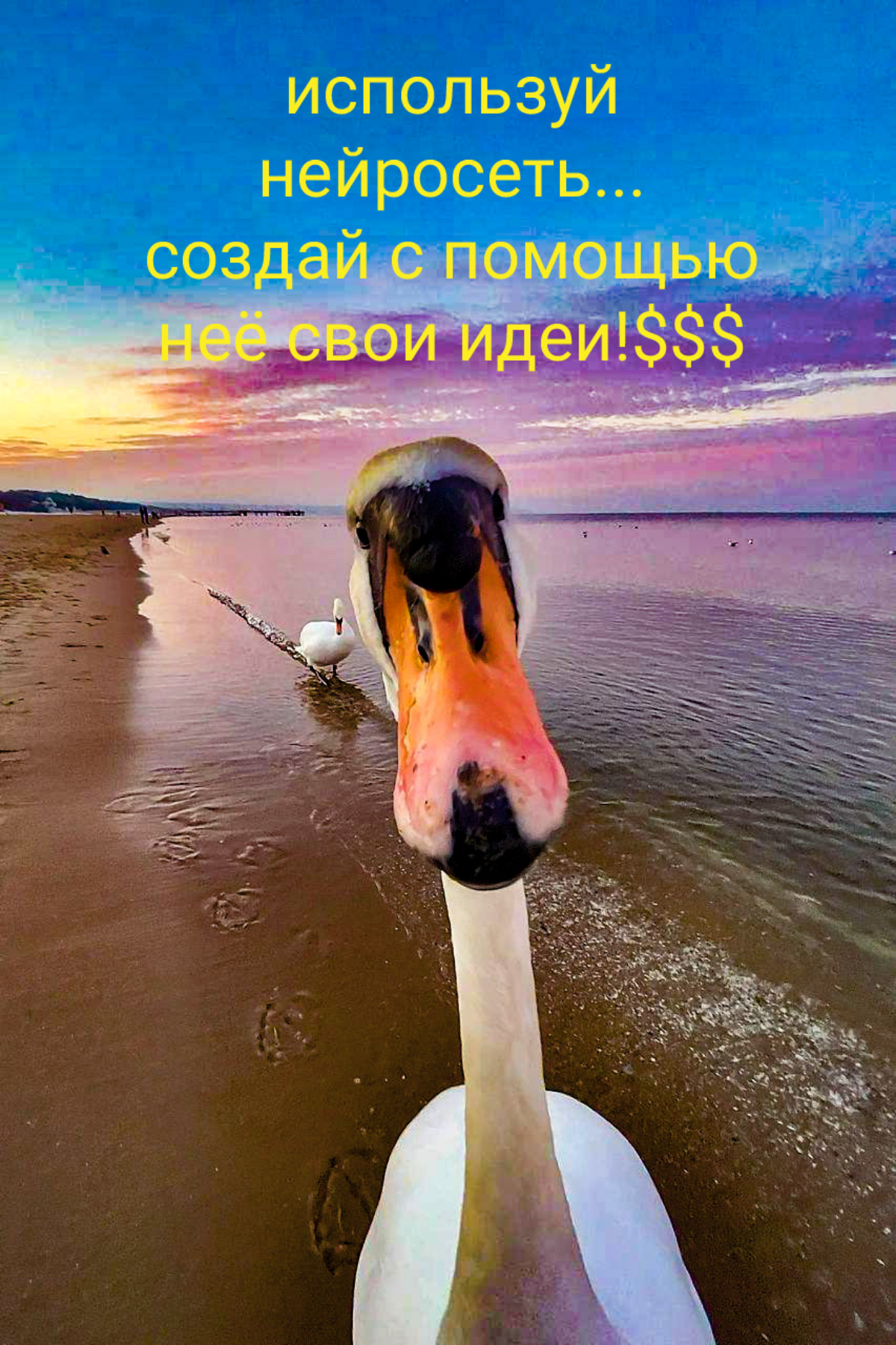 Идеи, которые не дают мне покоя!
Камера, мотор, начали... | Сетка — социальная сеть от hh.ru