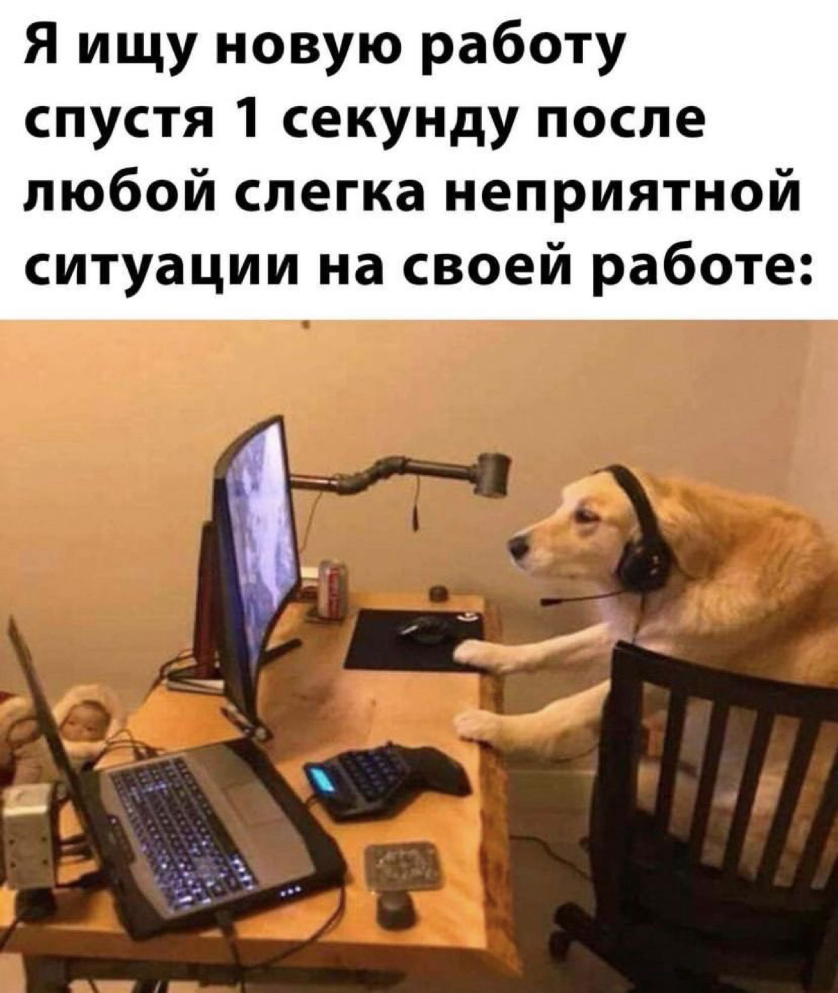 Признавайтесь, было такое? | Сетка — социальная сеть от hh.ru