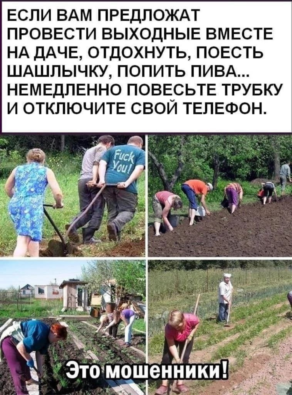 Остерегайтесь! | Сетка — социальная сеть от hh.ru