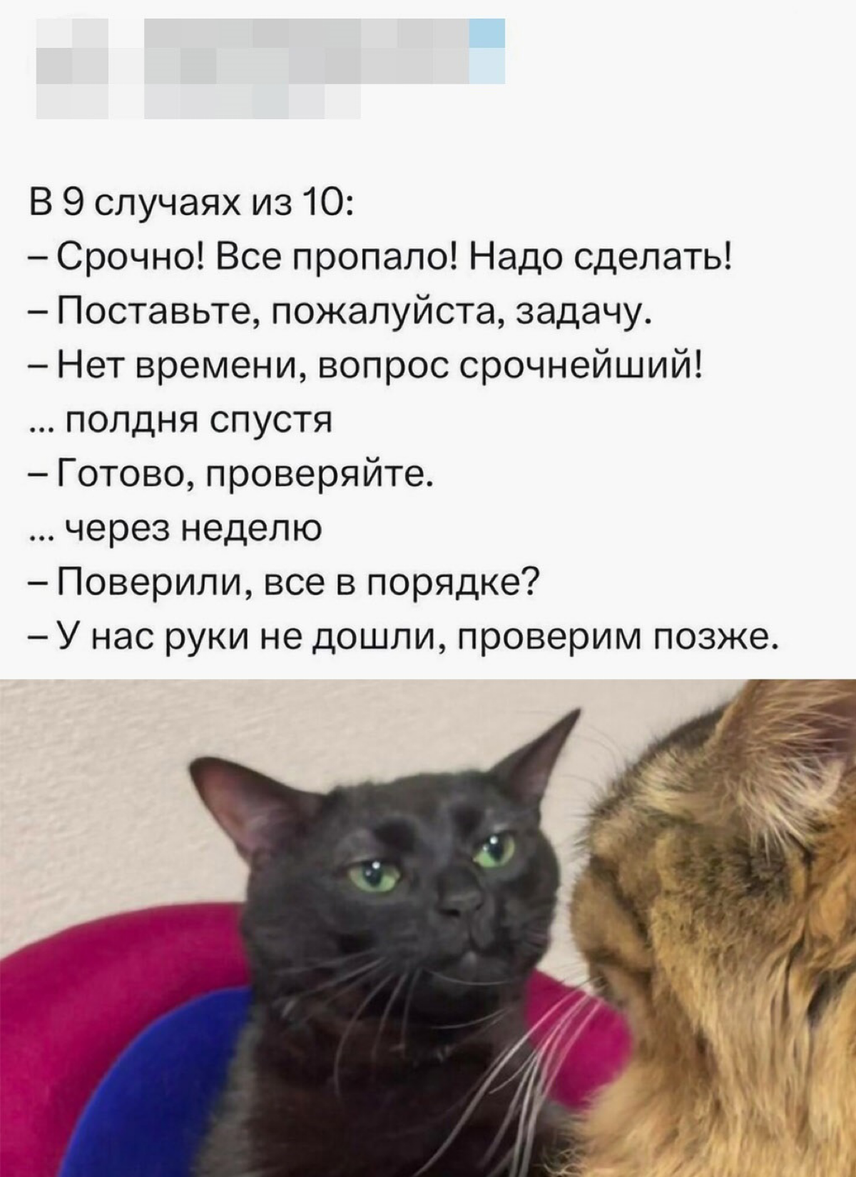 #пятничное #projectmanagement #career | Сетка — социальная сеть от hh.ru
