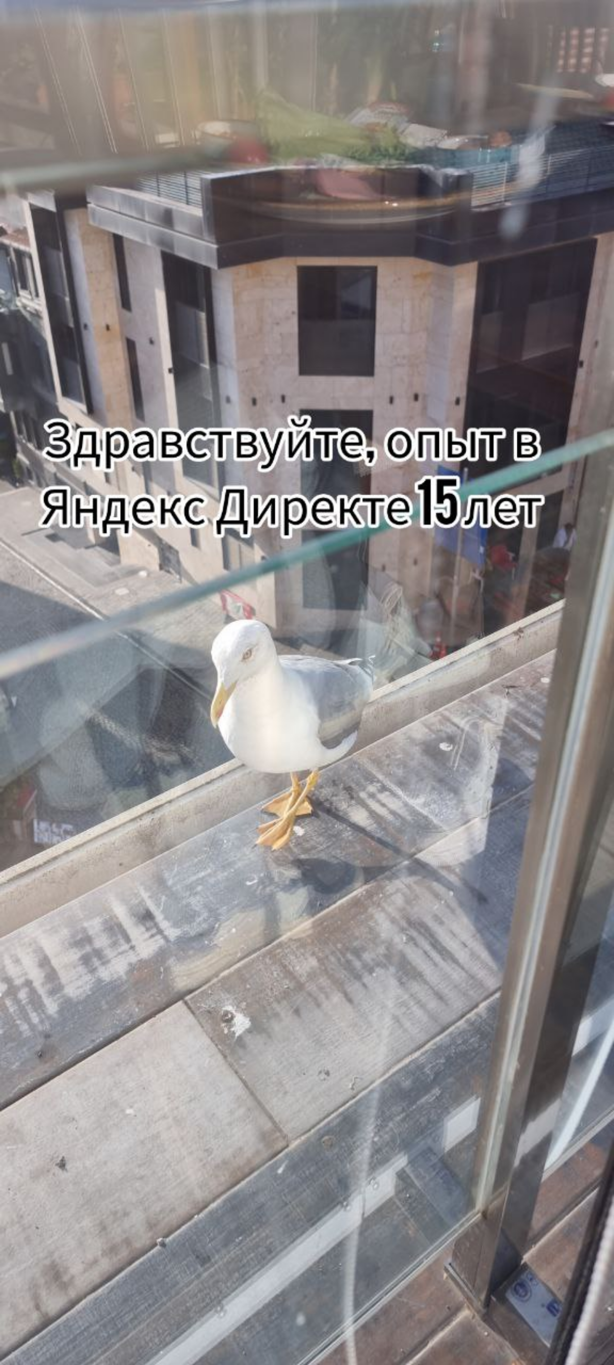 Пятница хоть и не настоящая на этой неделе,  но все же остаётся пятницей)
Мемчики на тему "открывается новый бизнес - просыпаются фрилансеры"😄 | Сетка — социальная сеть от hh.ru