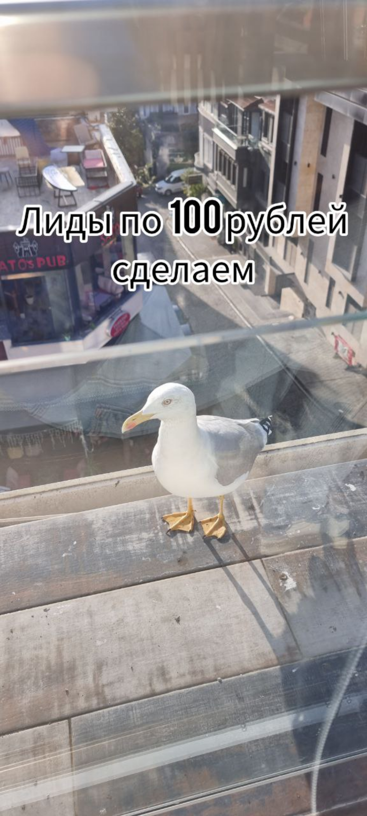 Пятница хоть и не настоящая на этой неделе,  но все же остаётся пятницей)
Мемчики на тему "открывается новый бизнес - просыпаются фрилансеры"😄 | Сетка — социальная сеть от hh.ru