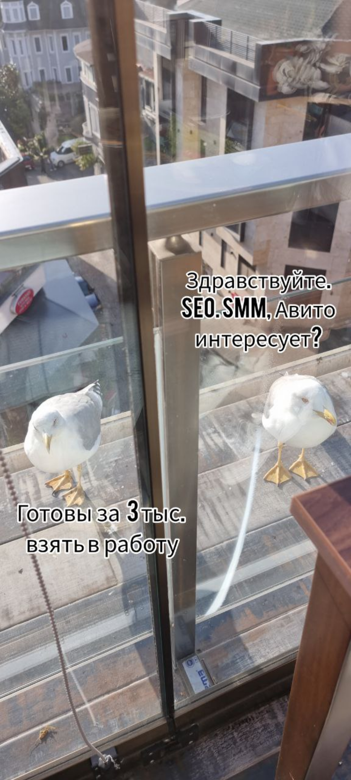 Пятница хоть и не настоящая на этой неделе,  но все же остаётся пятницей)
Мемчики на тему "открывается новый бизнес - просыпаются фрилансеры"😄 | Сетка — социальная сеть от hh.ru