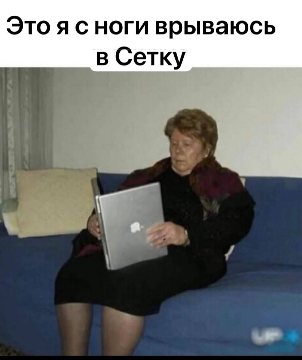 Кто тут? Как тут? | Сетка — социальная сеть от hh.ru