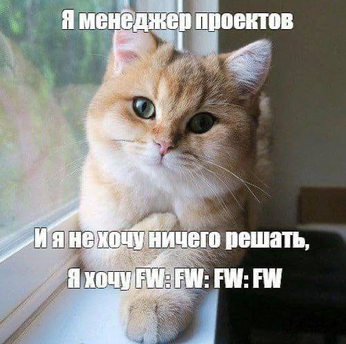 #пятничное #projectmanagement #productmanagement
Сегодня уникальный день - вторая пятница на неделе )))) | Сетка — социальная сеть от hh.ru