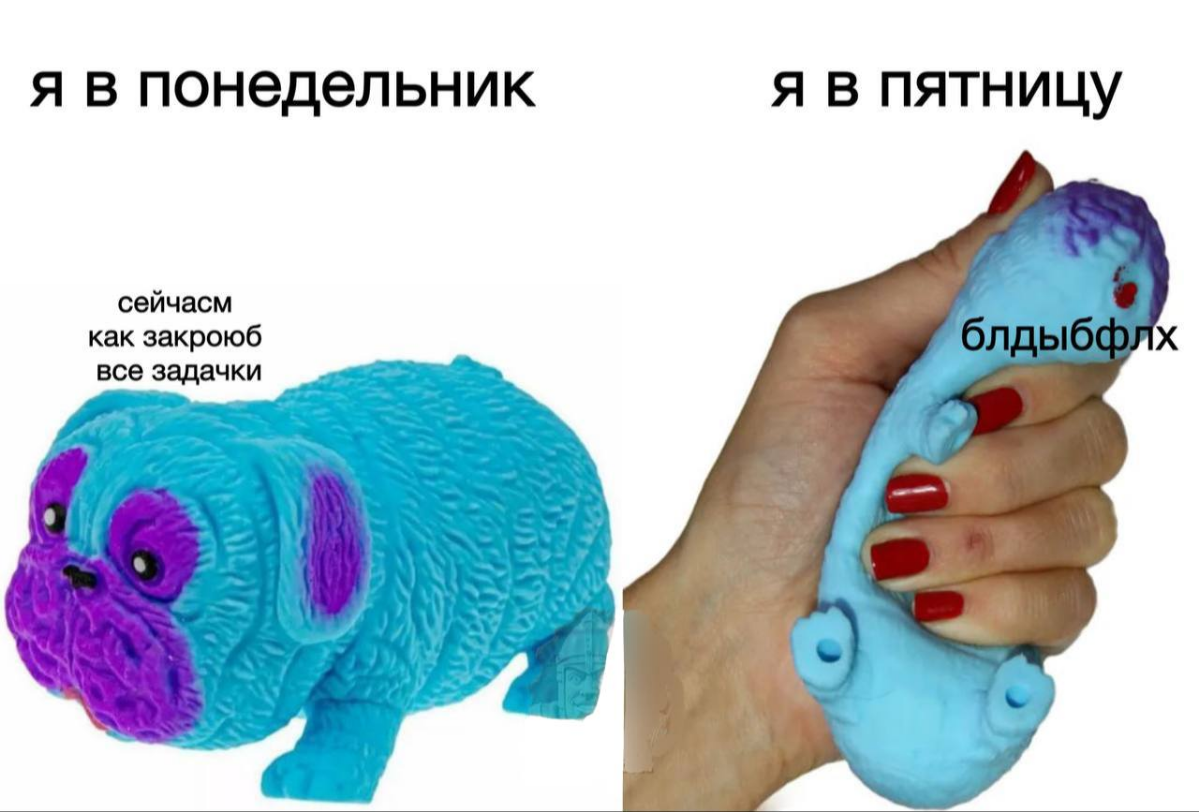 Сетка — социальная сеть от hh.ru