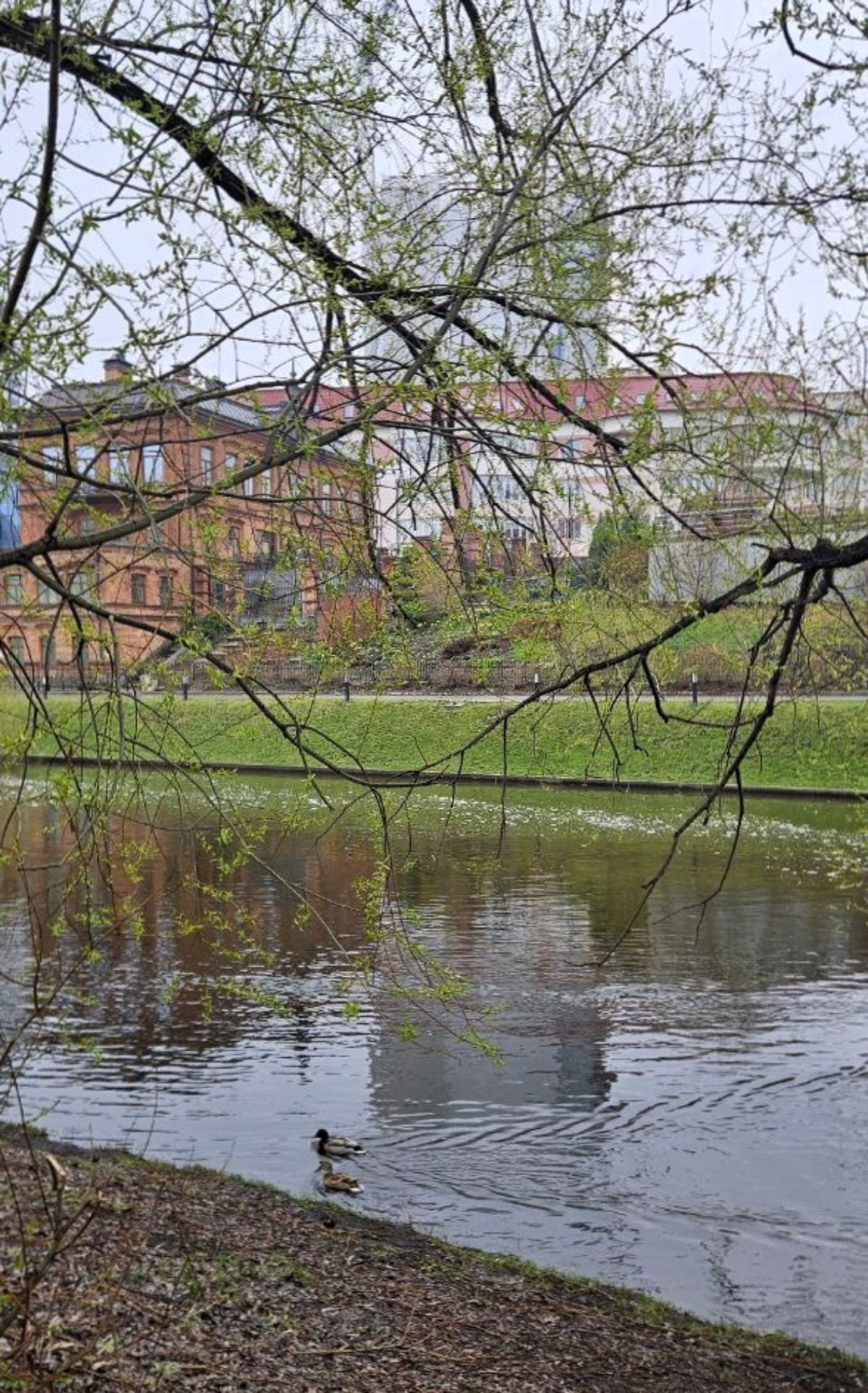 Эксклюзивно про DUMP для сетки | Сетка — социальная сеть от hh.ru