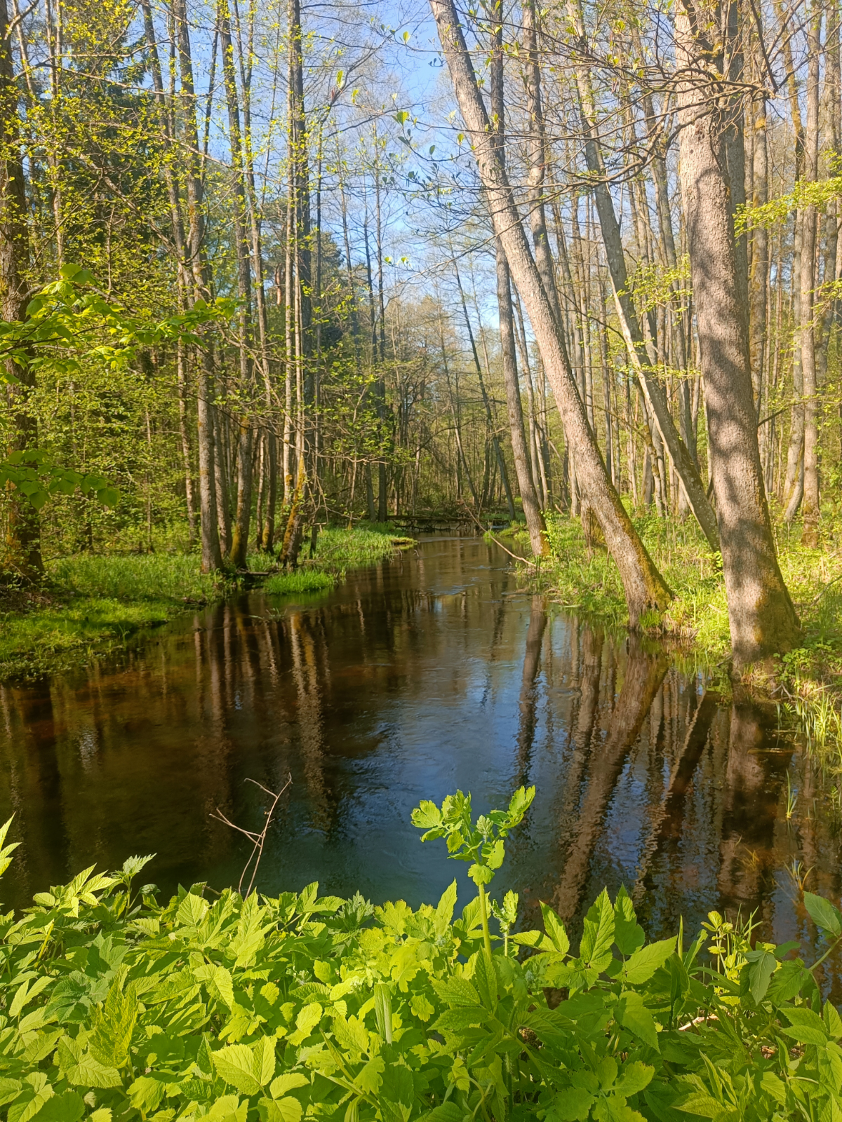 Сегодня я хвалю себя за выход в природу | Сетка — социальная сеть от hh.ru