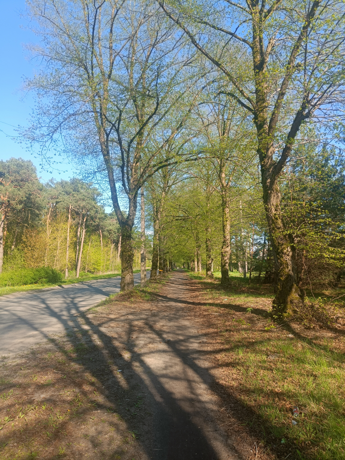 Сегодня я хвалю себя за выход в природу | Сетка — социальная сеть от hh.ru