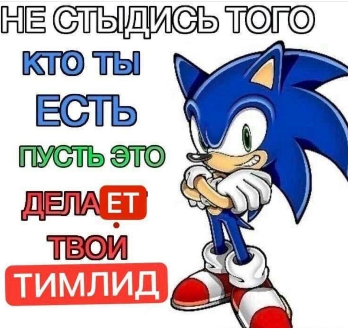 Сетка — социальная сеть от hh.ru