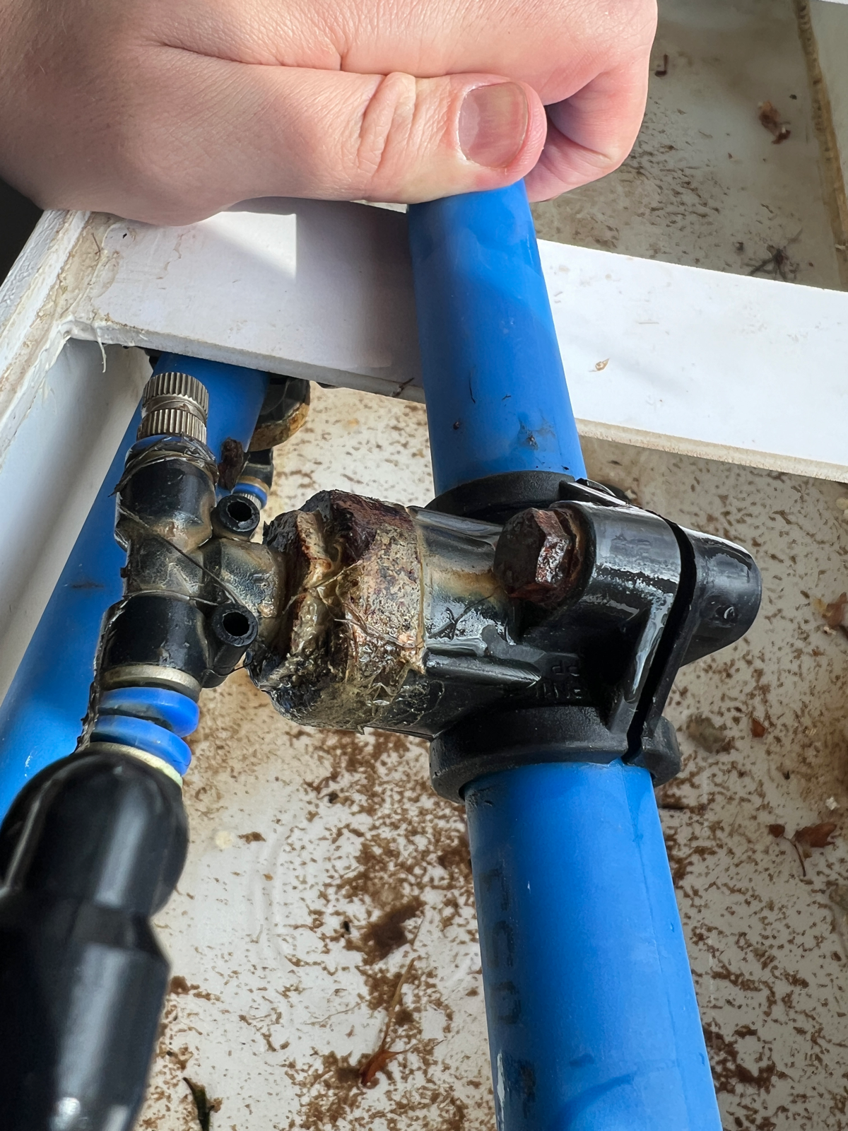 Офисная клубника | Сетка — социальная сеть от hh.ru