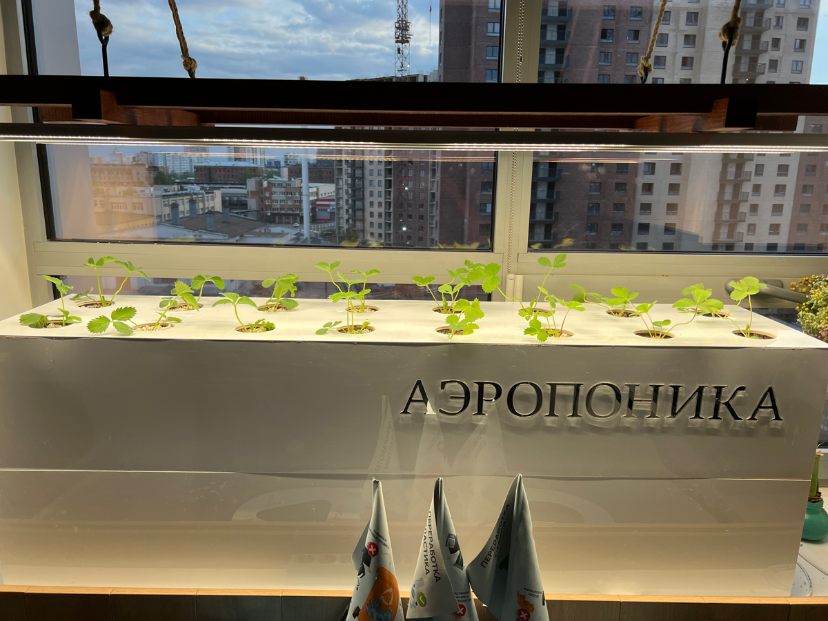 Офисная клубника | Сетка — социальная сеть от hh.ru