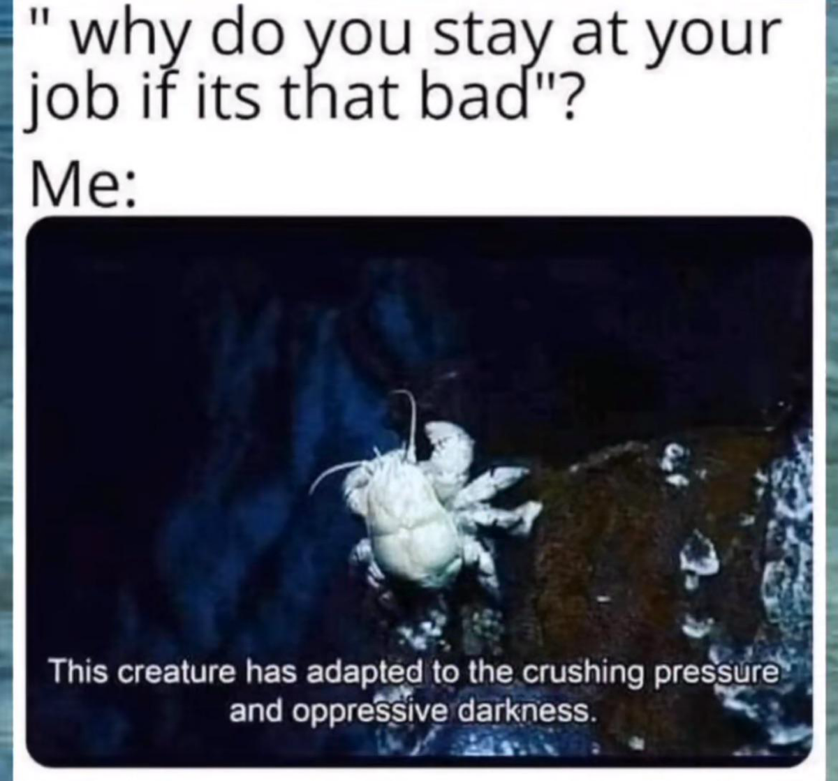 Часть корабля | Сетка — социальная сеть от hh.ru