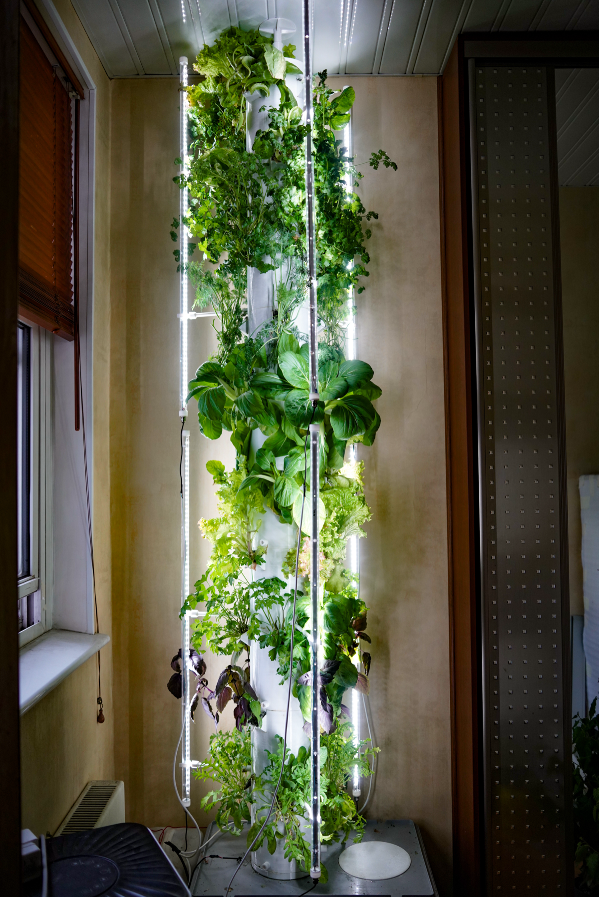 Гидропонная башня дома | Сетка — социальная сеть от hh.ru