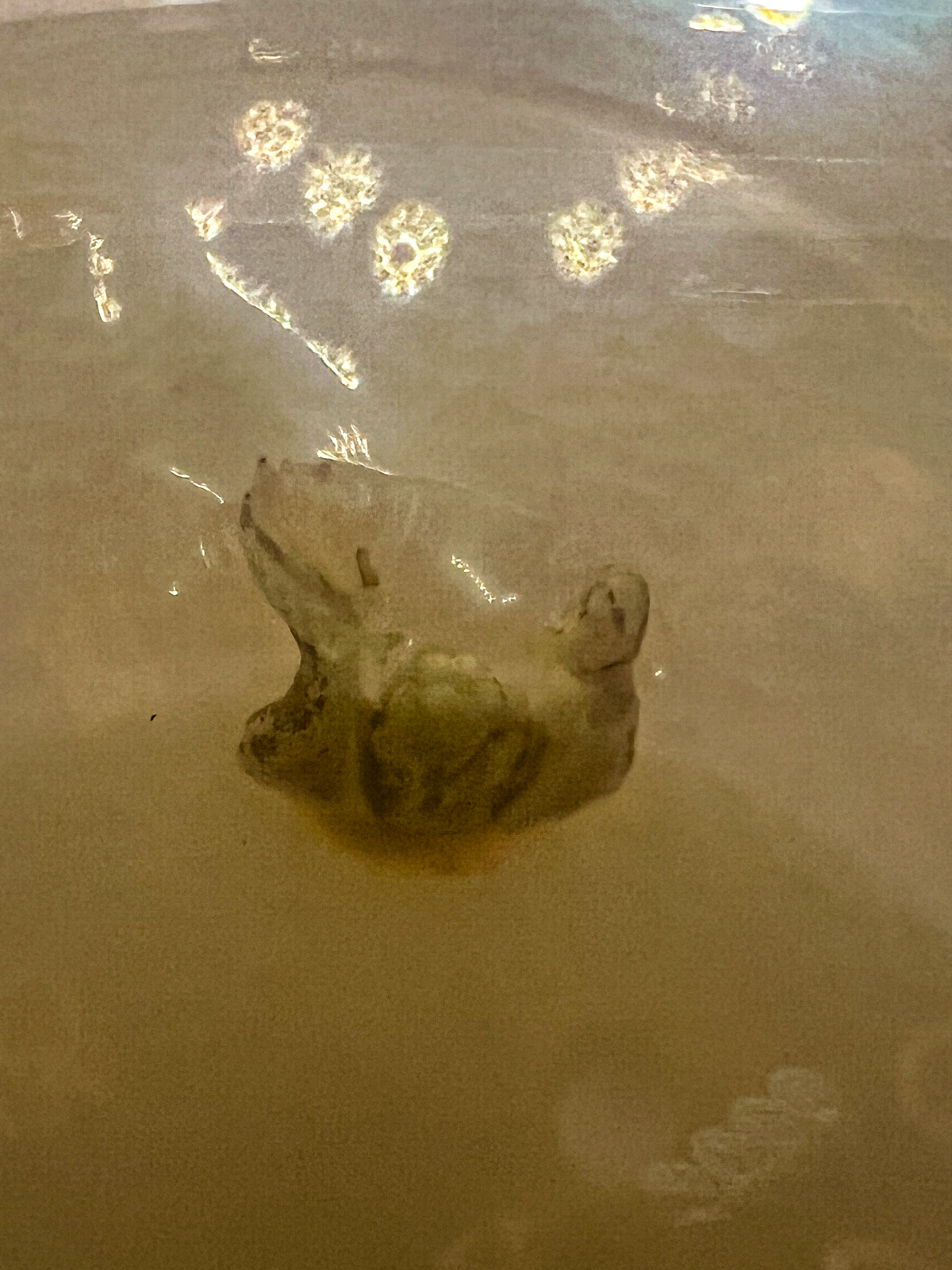 Микроклонирование. Эксперимент #5 | Сетка — социальная сеть от hh.ru