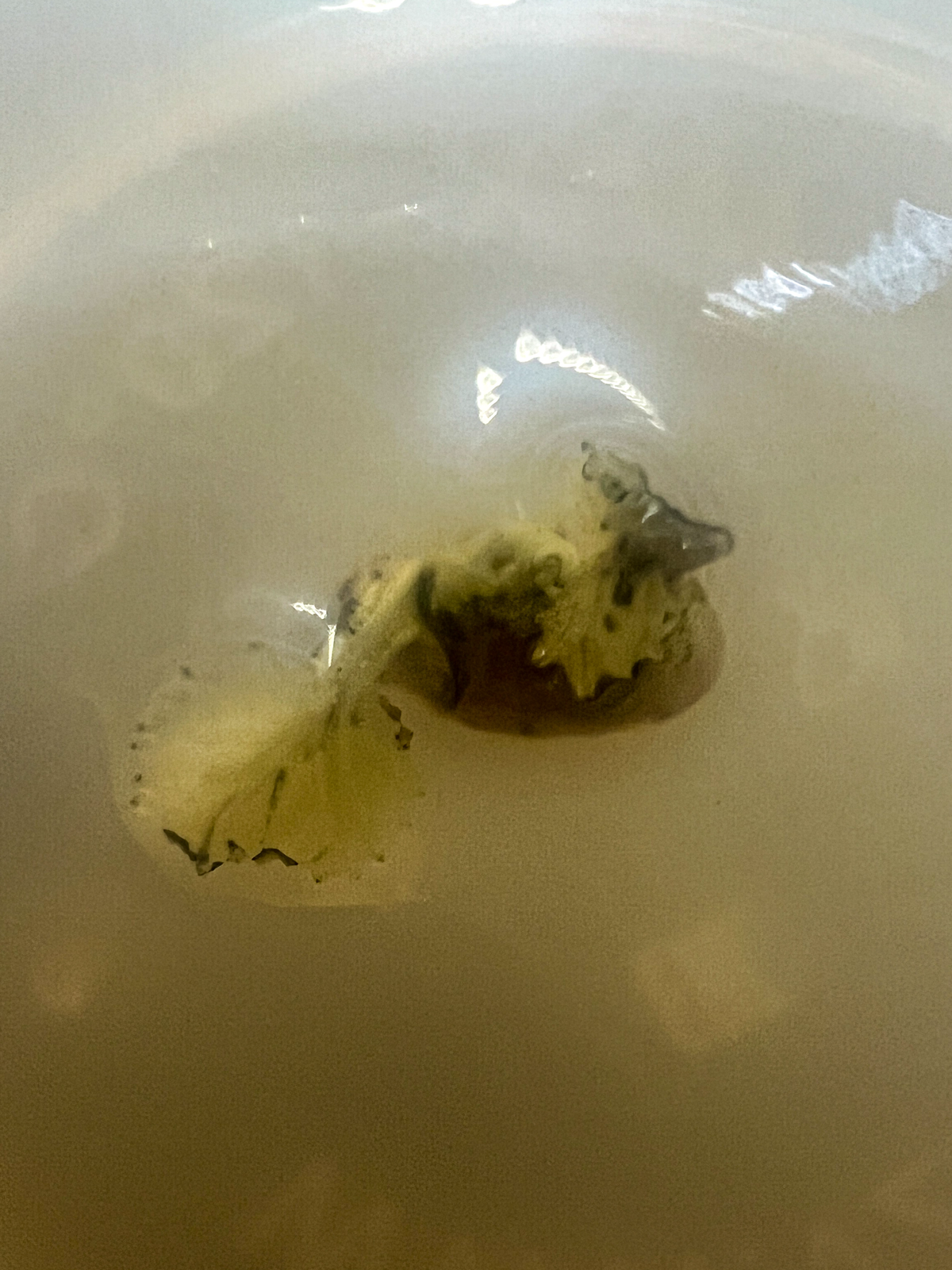 Микроклонирование. Эксперимент #5 | Сетка — социальная сеть от hh.ru