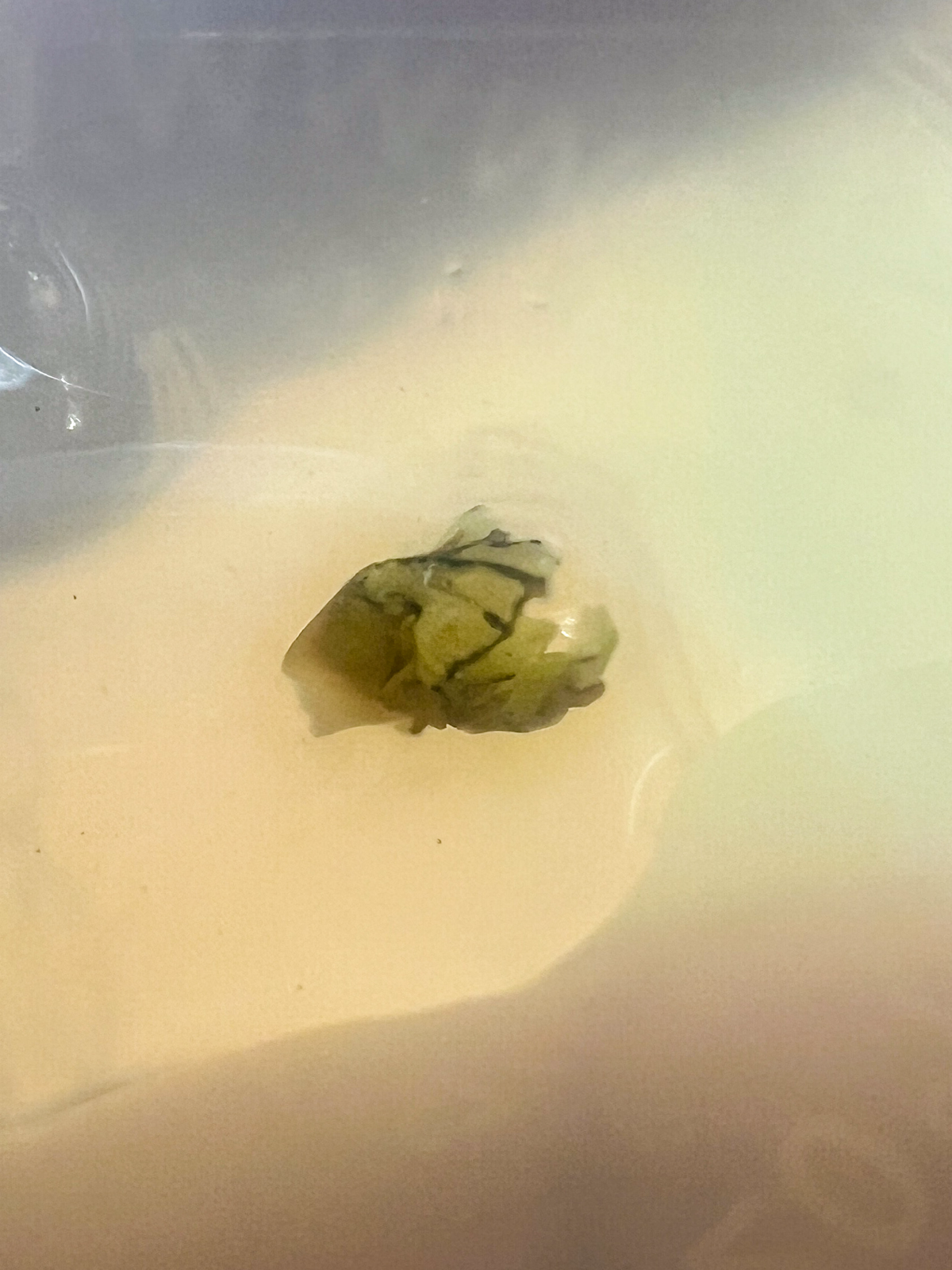 Микроклонирование. Эксперимент #5 | Сетка — социальная сеть от hh.ru