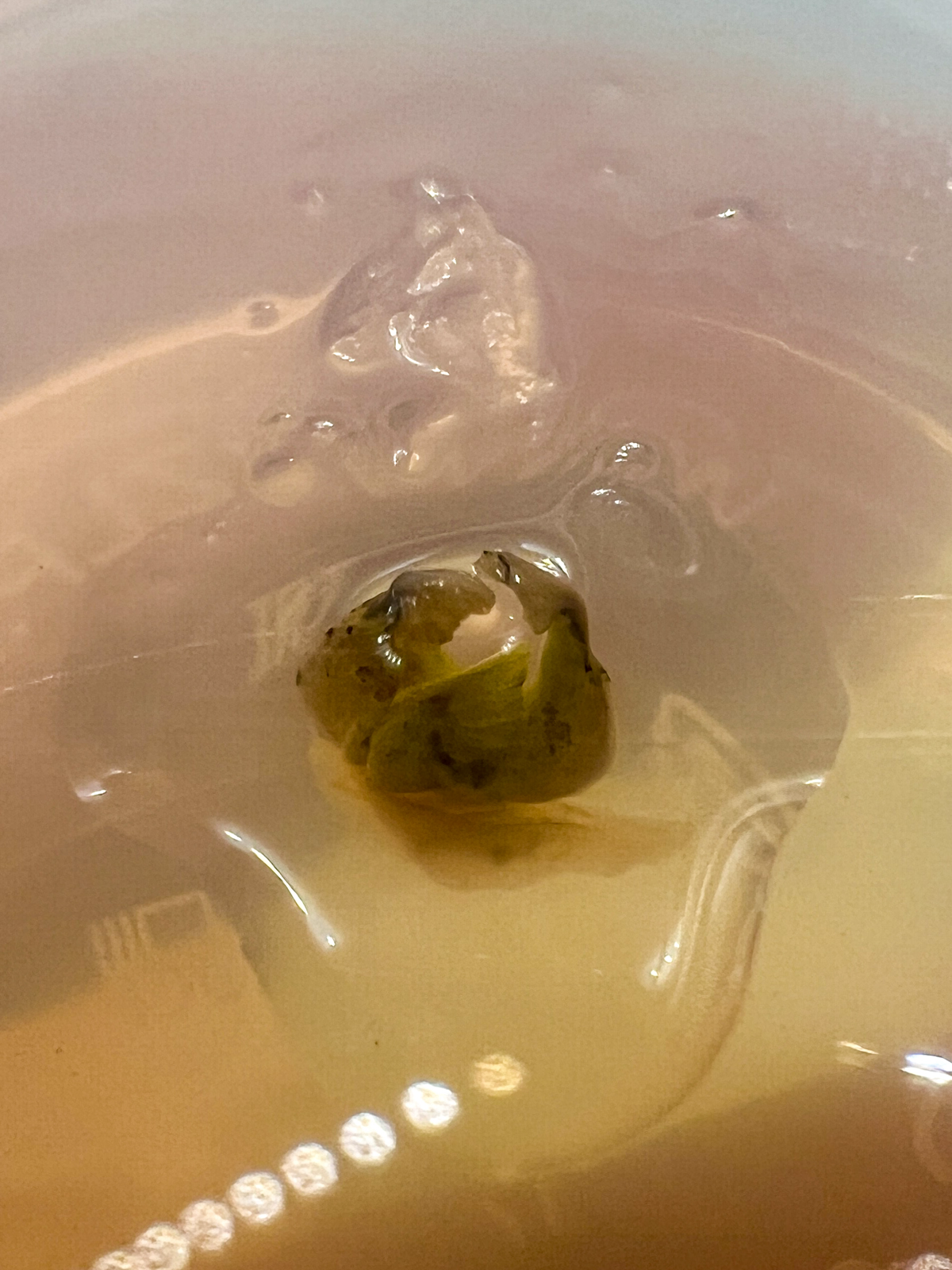 Микроклонирование. Эксперимент #5 | Сетка — социальная сеть от hh.ru