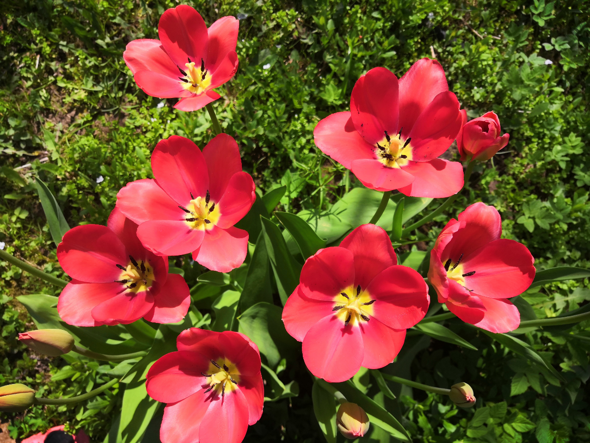 🌱Дачный менеджмент

Папа, я готова работать, чем мне помочь?
Ну... Пойдём... Будешь подвязывать виноград?
Давай, только покажи как.

Папа начинает молча подвязывать виноград | Сетка — социальная сеть от hh.ru