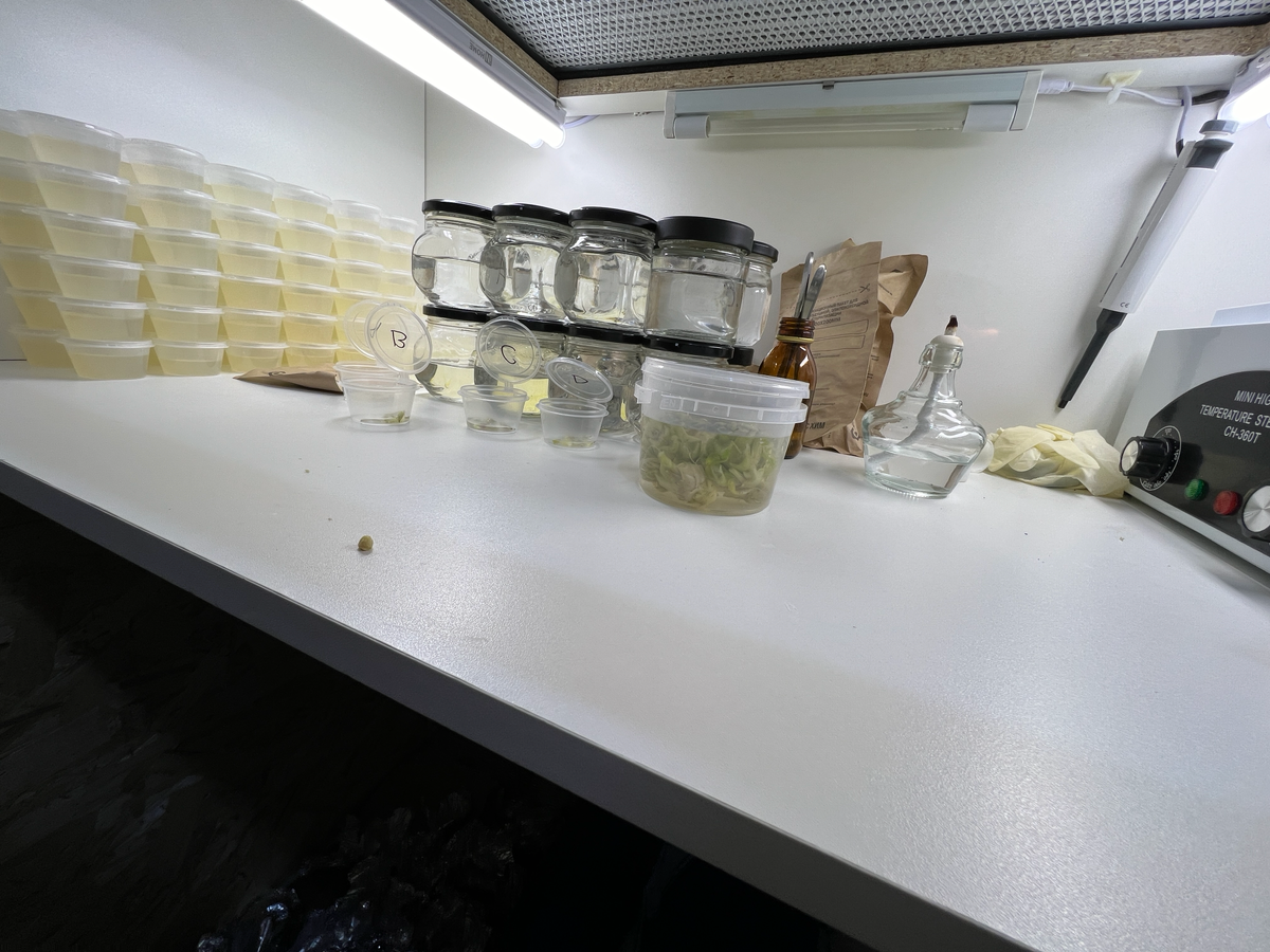 Трудовыебудни | Сетка — социальная сеть от hh.ru