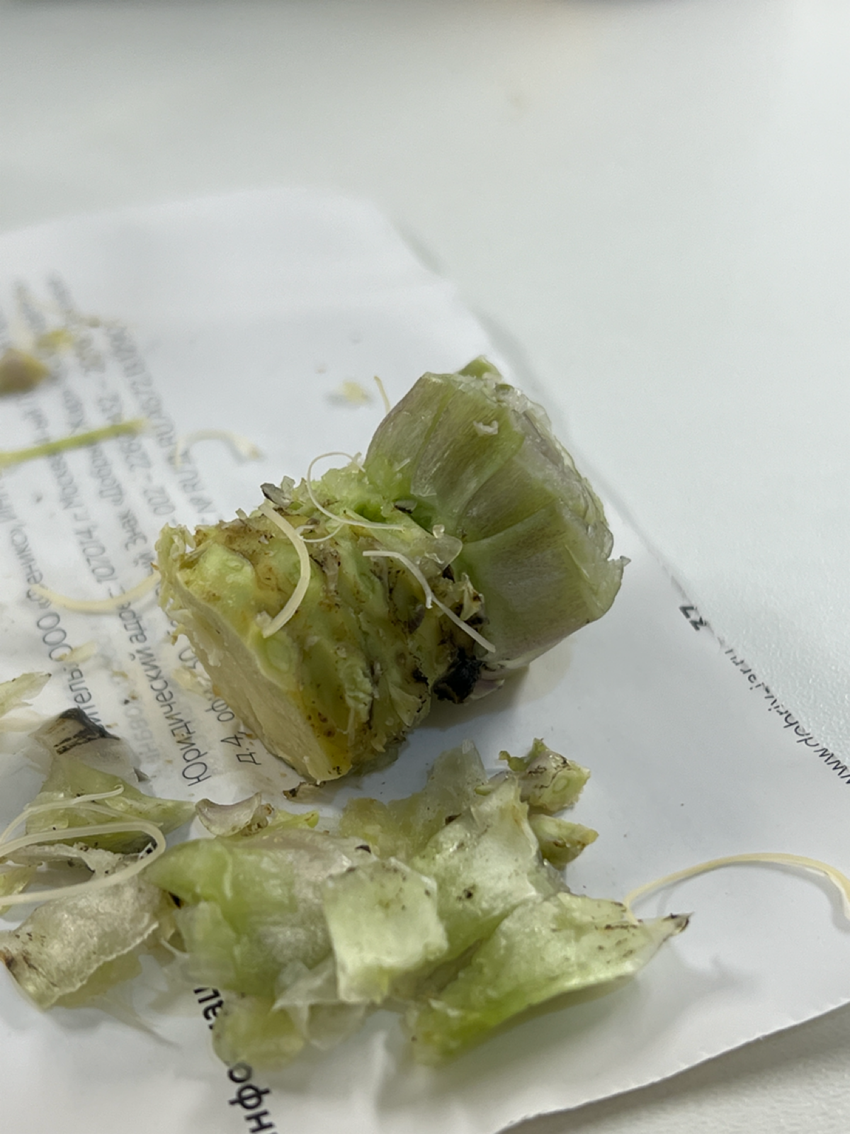 Трудовыебудни | Сетка — социальная сеть от hh.ru