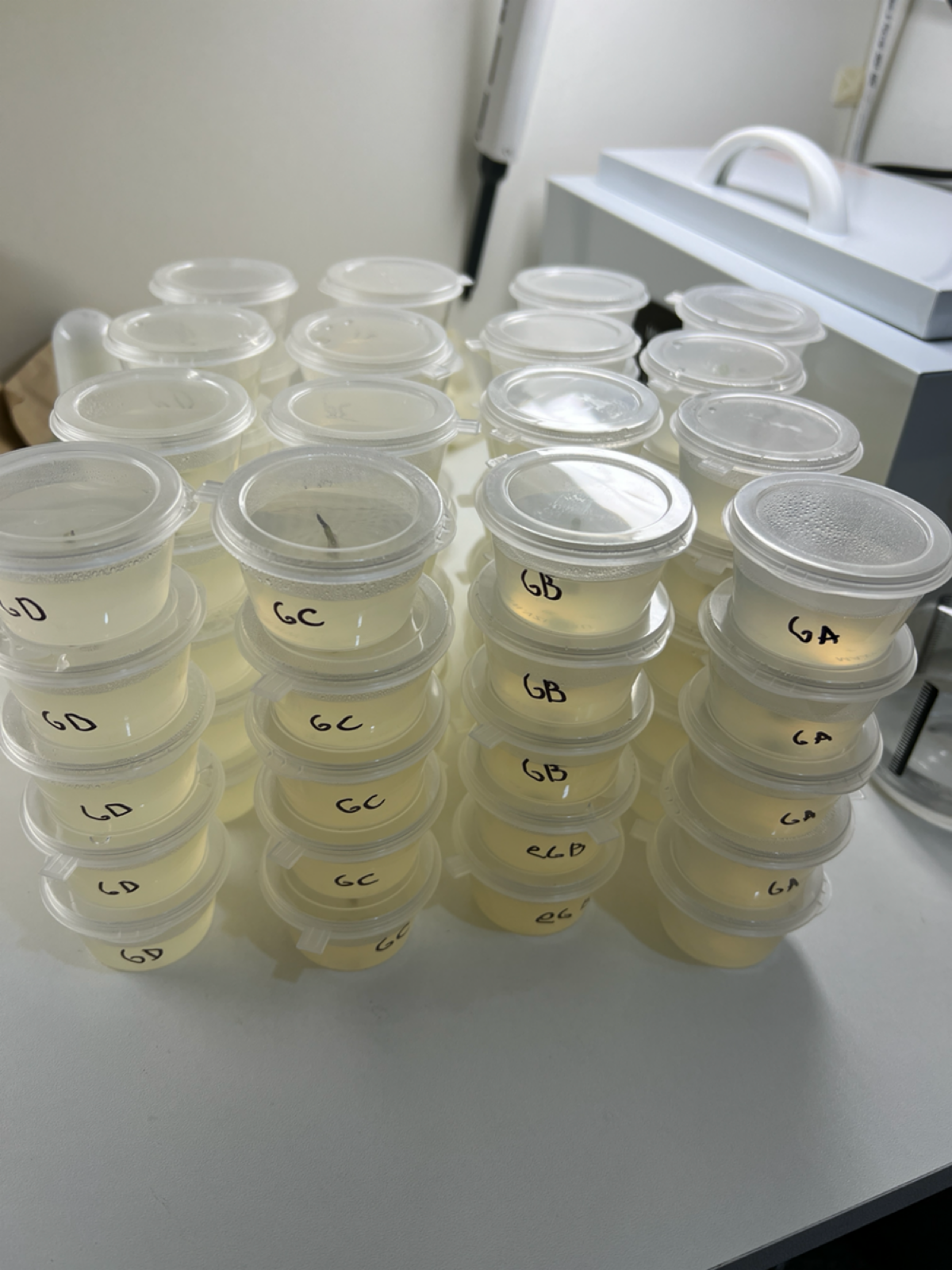 Трудовыебудни | Сетка — социальная сеть от hh.ru