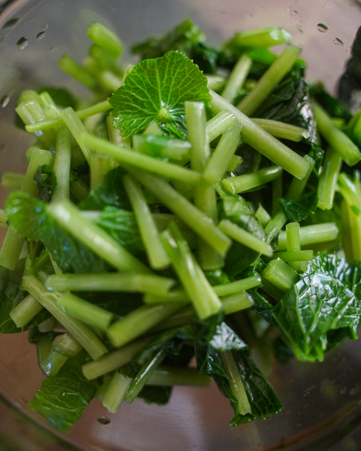 Листья васаби | Сетка — социальная сеть от hh.ru