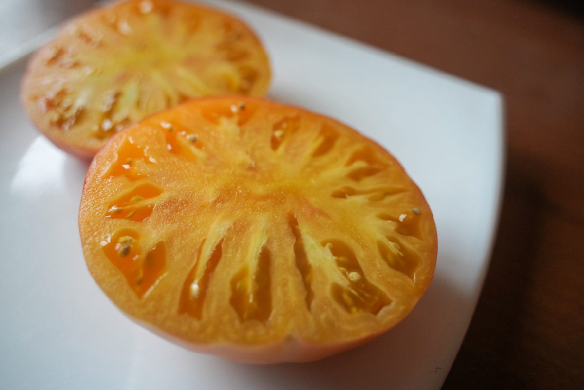 Мои помидоры | Сетка — социальная сеть от hh.ru